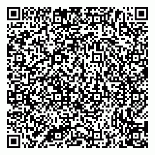 vCard 79335538945