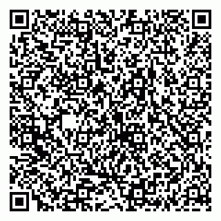 vCard 79335538951