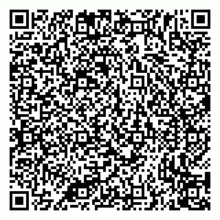 vCard 79335538958