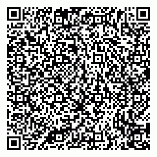 vCard 79335538959