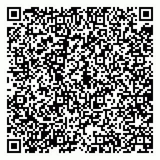 vCard 79335538986