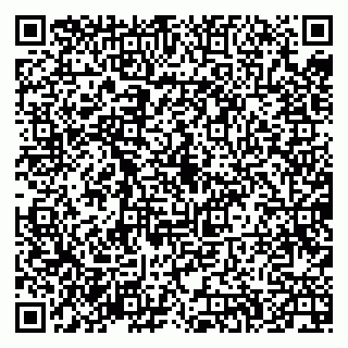 vCard 79335538996