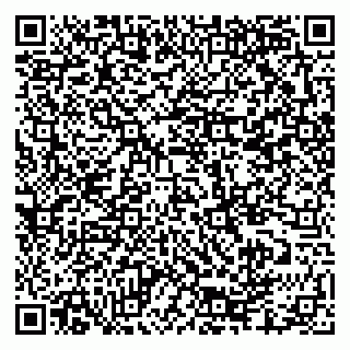 vCard 79335550002