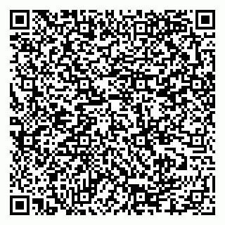 vCard 79335550004