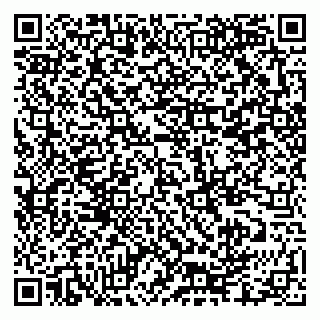 vCard 79335550006