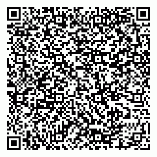vCard 79335550007