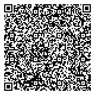 vCard 79335550009