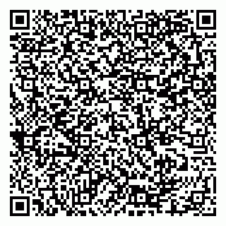 vCard 79335550010