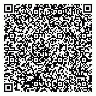 vCard 79335550011