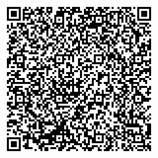 vCard 79335550017