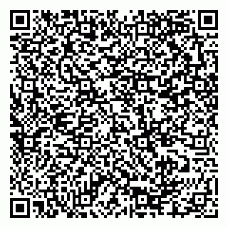 vCard 79335550018