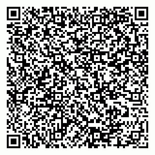 vCard 79335550019