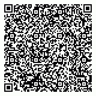 vCard 79335550021