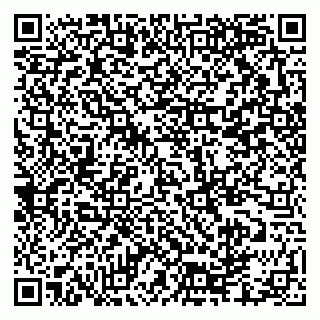 vCard 79335550023