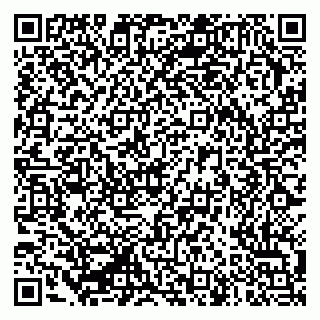 vCard 79335550025
