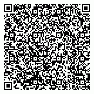 vCard 79335550027