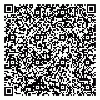 vCard 79335550028
