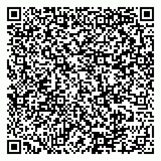 vCard 79335550029