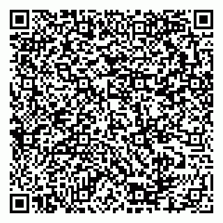 vCard 79335550030