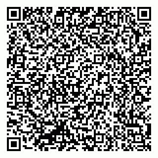 vCard 79335550031