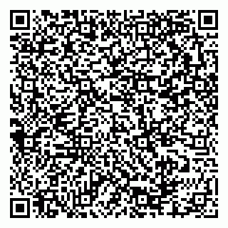 vCard 79335550032