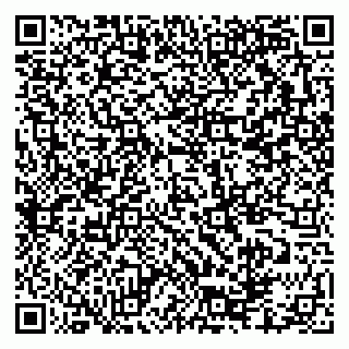 vCard 79335550033