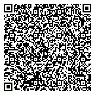 vCard 79335550035