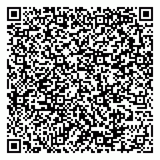 vCard 79335550037