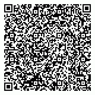 vCard 79335550039