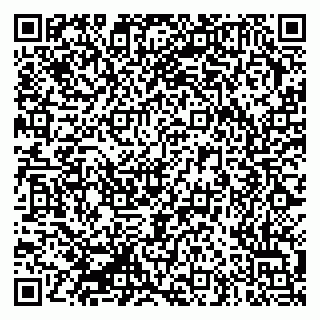 vCard 79335550063