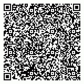 vCard 79335550073