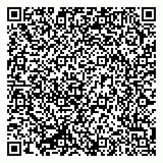 vCard 79335550081