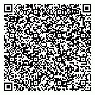 vCard 79335550082