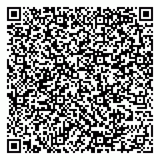 vCard 79335550090