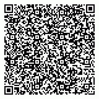 vCard 79335550092