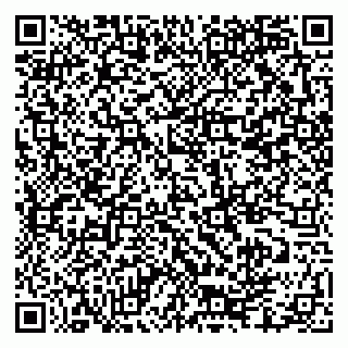 vCard 79335550101