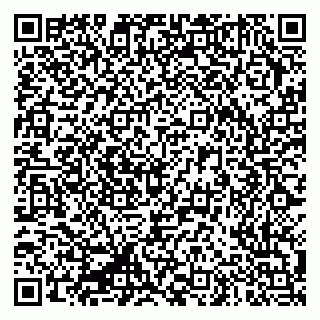 vCard 79335550105