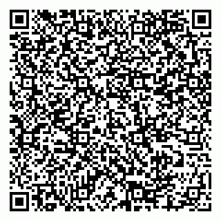 vCard 79335550109