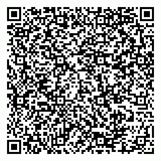 vCard 79335550111