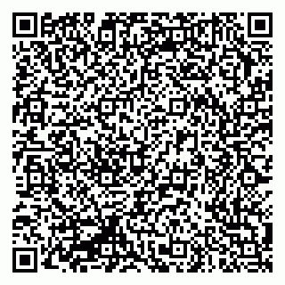 vCard 79335550118
