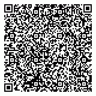 vCard 79335550121