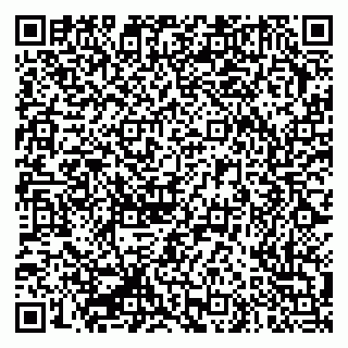 vCard 79335550124