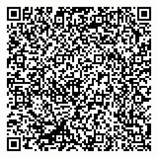 vCard 79335550128