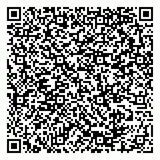 vCard 79335550130