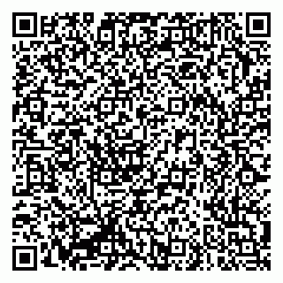 vCard 79335550131