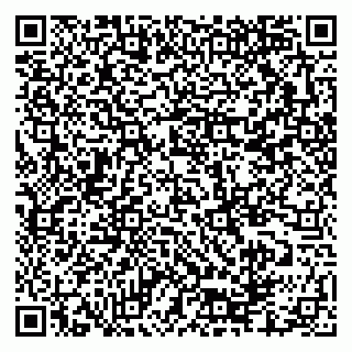 vCard 79335550132