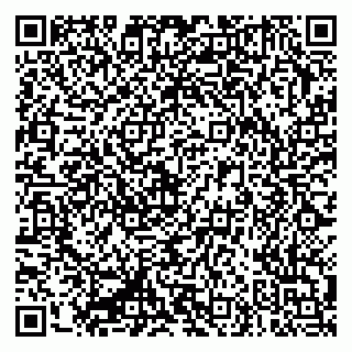 vCard 79335550133