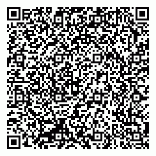 vCard 79335550135