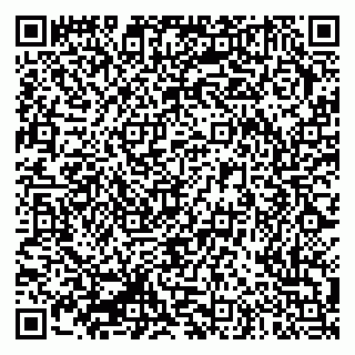 vCard 79335550140