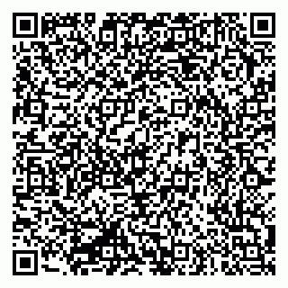 vCard 79335550141
